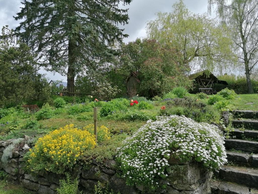 Ruestzeitenheim Sonnenschein Saalburg Extérieur photo