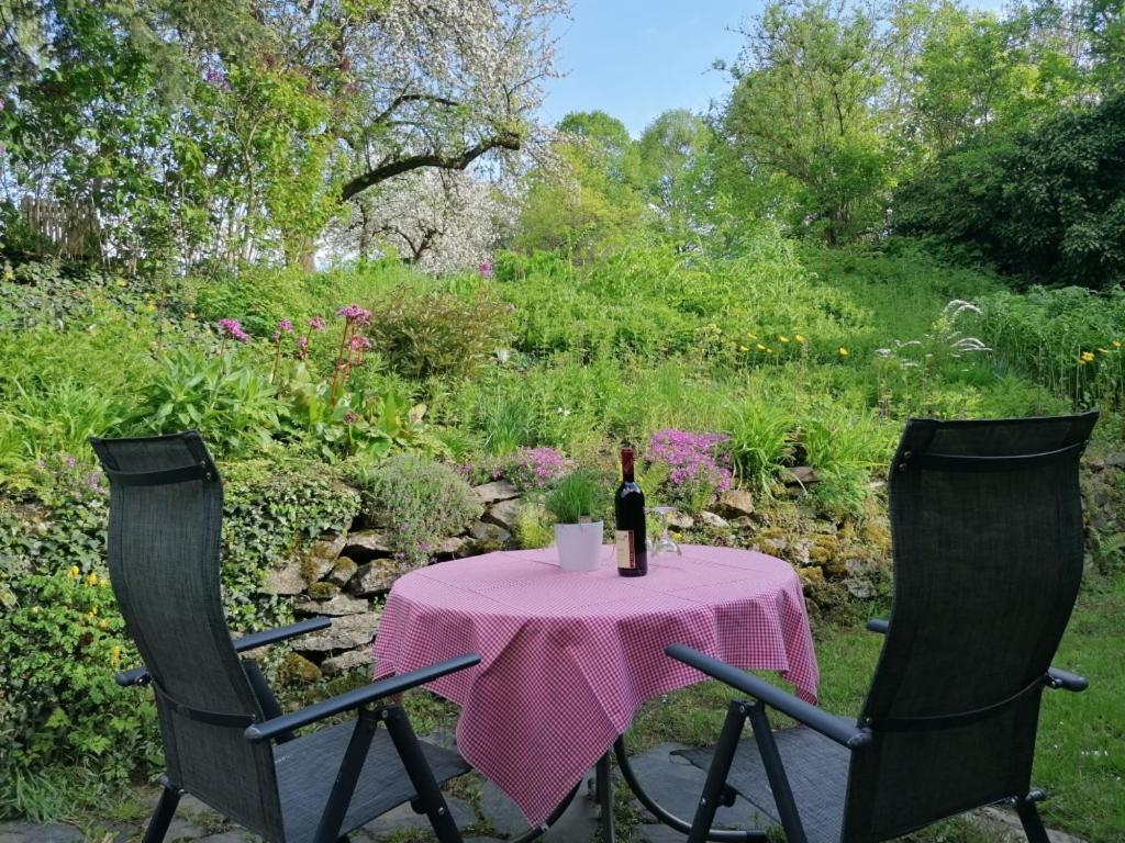 Ruestzeitenheim Sonnenschein Saalburg Extérieur photo